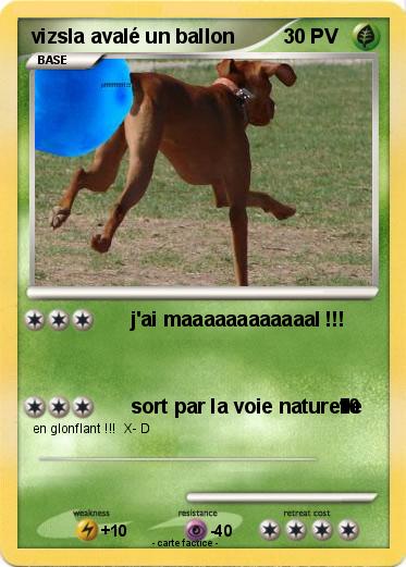 Pokemon vizsla avalé un ballon