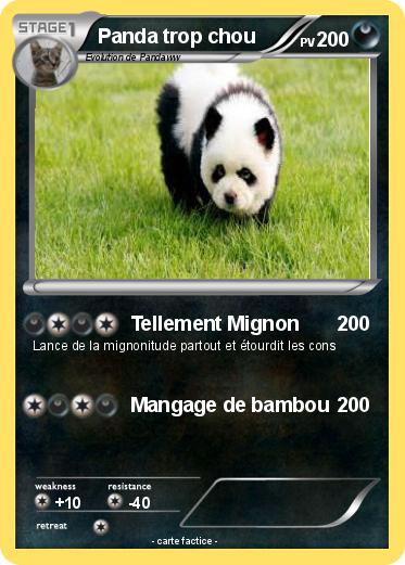 Pokemon Panda trop chou