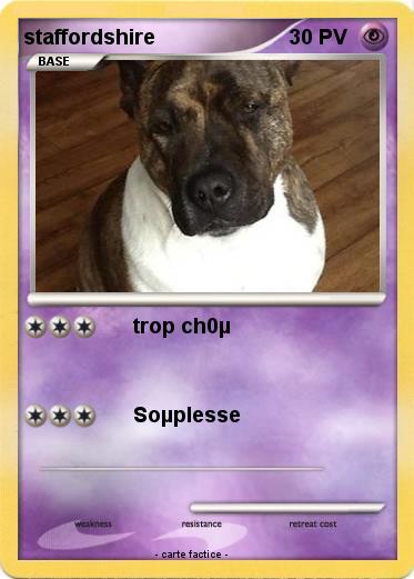 Pokemon staffordshire