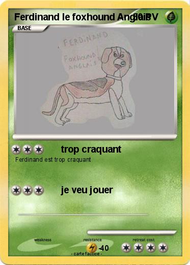 Pokemon Ferdinand le foxhound Anglais