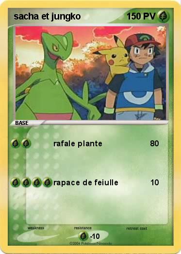 Pokemon sacha et jungko