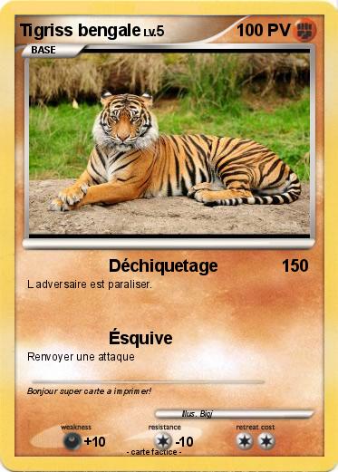 Pokemon Tigriss bengale