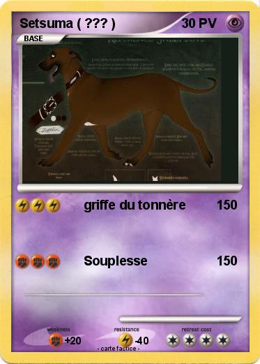 Pokemon Setsuma ( ??? )