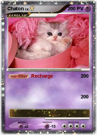 Pokemon Chaton