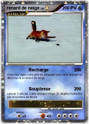 Pokemon renard de neige