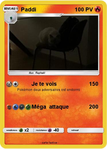 Pokemon Paddi