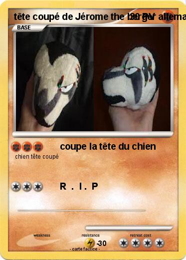 Pokemon tête coupé de Jérome the berger allemand