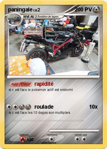 Pokemon paningale