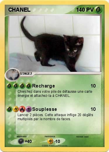 Pokemon CHANEL