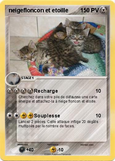 Pokemon neigefloncon et etoille