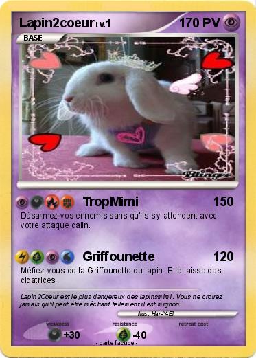 Pokemon Lapin2coeur