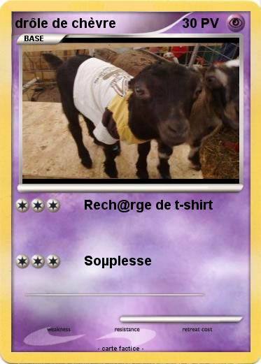 Pokemon drôle de chèvre