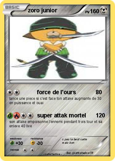 Pokemon zoro junior