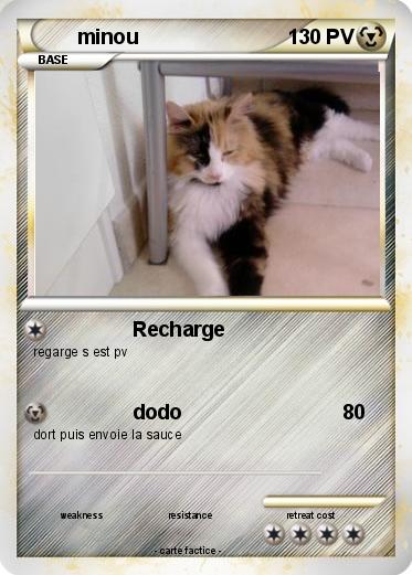 Pokemon minou