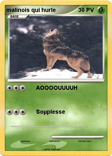 Pokemon malinois qui hurle