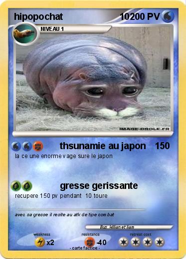 Pokemon hipopochat                      10