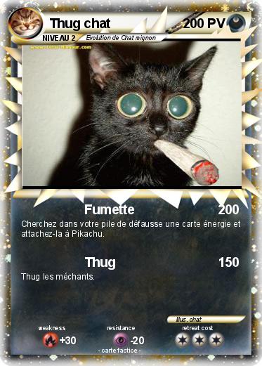 Pokemon Thug chat