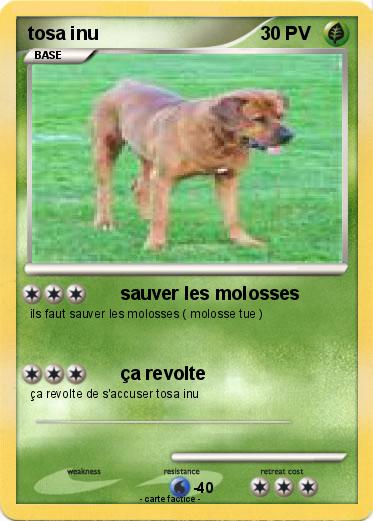 Pokemon tosa inu