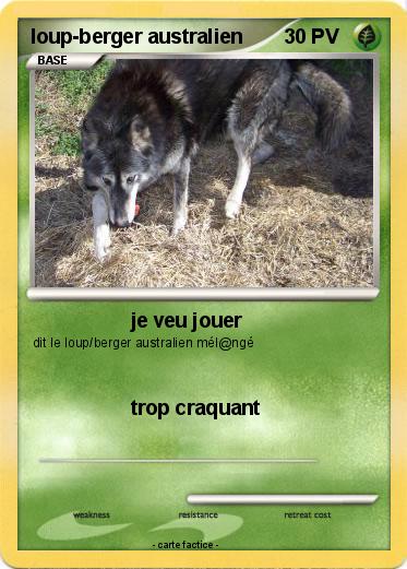 Pokemon loup-berger australien
