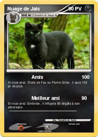 Pokemon Nuage de Jais