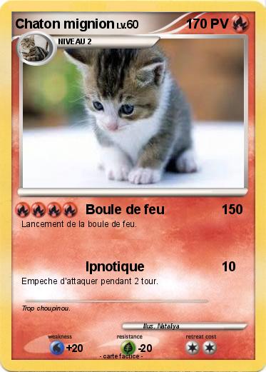 Pokemon Chaton mignion