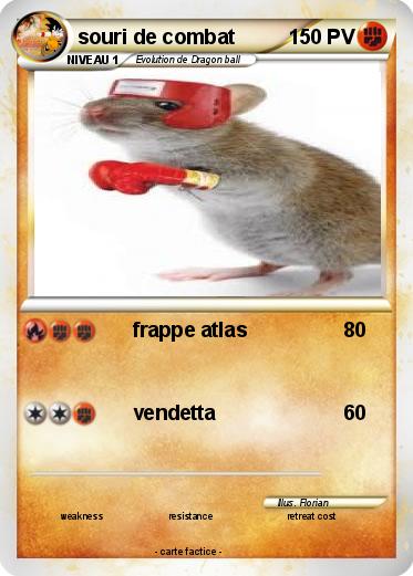 Pokemon souri de combat