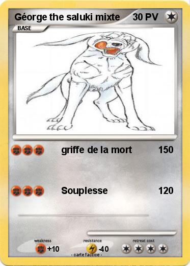 Pokemon Géorge the saluki mixte