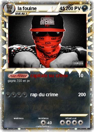 Pokemon la fouine                  45