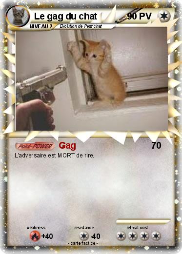 Pokemon Le gag du chat