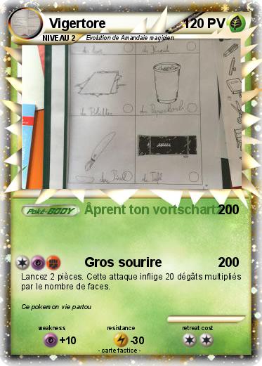 Pokemon Vigertore