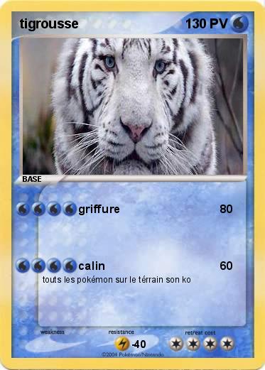 Pokemon tigrousse