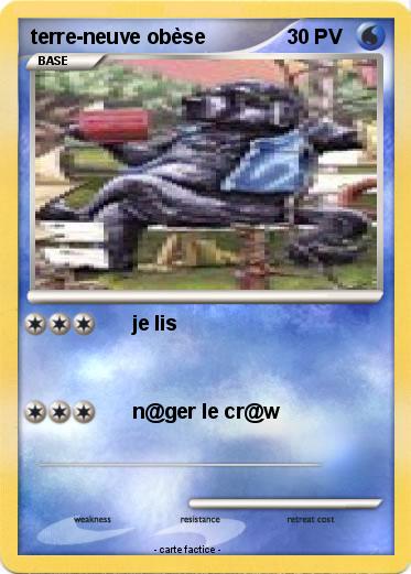 Pokemon terre-neuve obèse