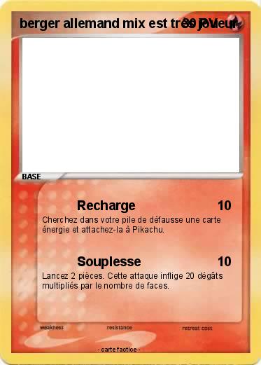 Pokemon berger allemand mix est très joueur