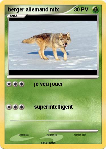 Pokemon berger allemand mix
