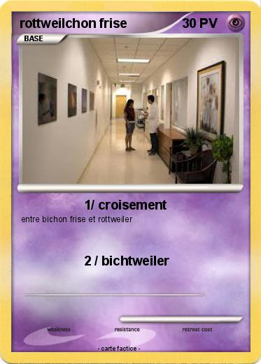 Pokemon rottweilchon frise