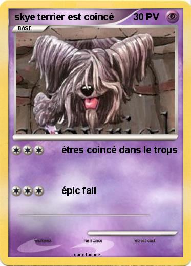 Pokemon skye terrier est coincé