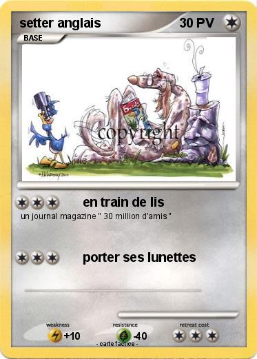 Pokemon setter anglais