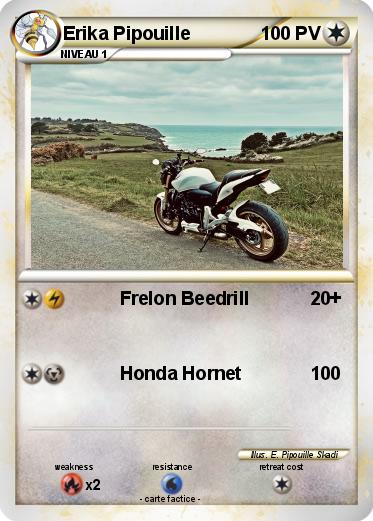 Pokemon Erika Pipouille