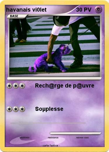 Pokemon havanais vi0let