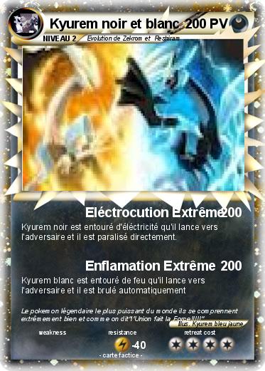 Pokemon Kyurem noir et blanc