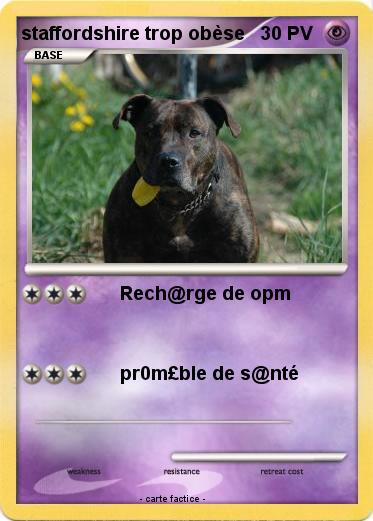 Pokemon staffordshire trop obèse