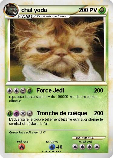 Pokemon chat yoda