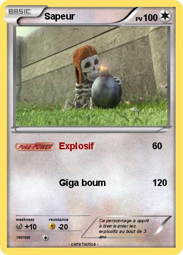 Pokemon Sapeur