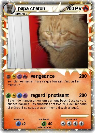Pokemon papa chaton