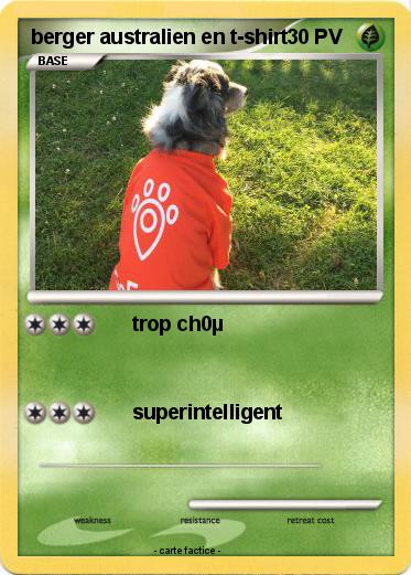 Pokemon berger australien en t-shirt