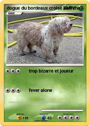 Pokemon dogue du bordeaux croisé caniche