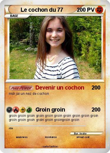 Pokemon Le cochon du 77