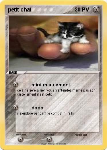 Pokemon petit chat