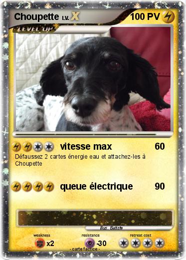 Pokemon Choupette