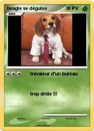 Pokemon beagle se déguise